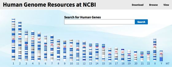 sequencage sequencing genome humain human code genetique codon gene chromosome ARN messager ADN DNA biochimej