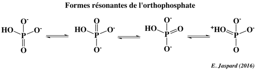 respiration cellulaire phosphate inorganique pi synthese ATP chaine respiratoire biochimej