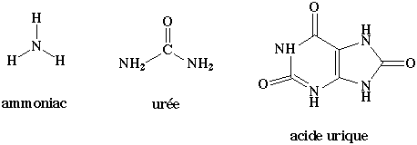 Forme excretion dechet azote uree urique amino acid synthesis degradation ammonia nitrogen assimilation azote nitrite nitrate reductase urea cycle glutamine biochimej