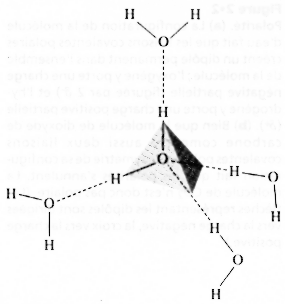 water H2O eau solvant vie liaison bond hydrogene tetrahedre ionique hydrophobe van der Waals conformation dynamique structure macromolecule molecule polaire solvant hydratation biochimej