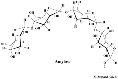 amylose glucide ose polysaccharide oside glucose amidon glycogene hemiacetal furanose pyranose ribose saccharose maltose melibiose lactose mucopolysaccharide glycoproteine methylation diholoside haworth heteroside sucre glucose mutarotation biochimej
