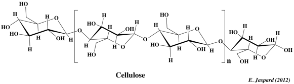 cellulose glucide ose polysaccharide oside glucose amidon glycogene hemiacetal furanose pyranose ribose saccharose maltose melibiose lactose mucopolysaccharide glycoproteine methylation diholoside haworth heteroside sucre glucose mutarotation biochimej