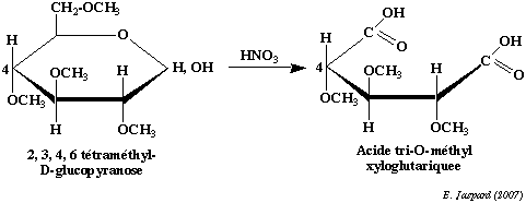 biochimej carbohydrate glucide ose sucre sugar methylation haworth glucose furanose pyranose Oxidation nitric acid