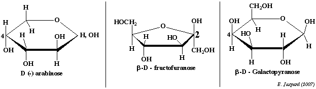 biochimej carbohydrate glucide ose sucre sugar methylation haworth glucose furanose pyranose Arabinose fructofuranose galactopyranose