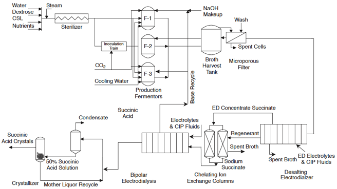 succinic succinate fermentation industrial process biotechnology electrodialysis membrane biochimej