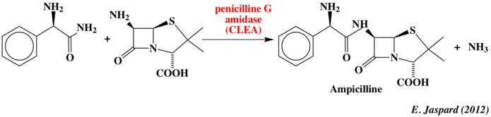 Enzyme immobilise immobilized penicilline amidase CLEA biochimej