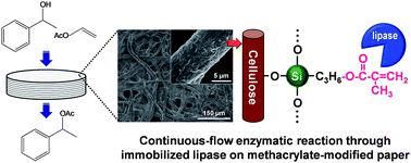 Enzyme immobilise immobilized methacrylate biochimej
