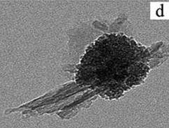 nanoparticule superparamagnetique biochimej