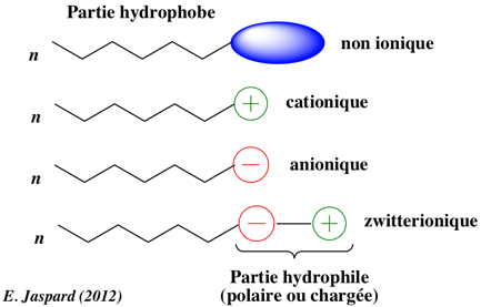 detergent tensioactif ionique zwitterionique biochimej