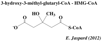 biochimej Structure du 3-hydroxy-3-methyl-glutaryl-CoA ou HMGCoA