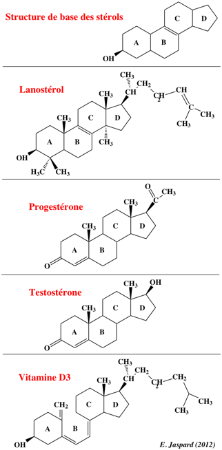 biochimej Structure sterol lanosterol testosterone progesterone vitamine D3