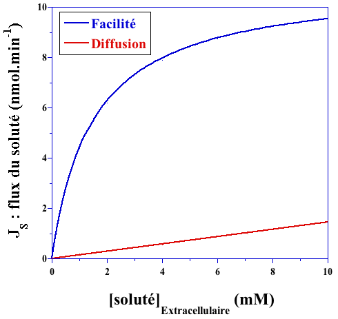 permease transport membrane glucose GLUT passif facilite biochimej