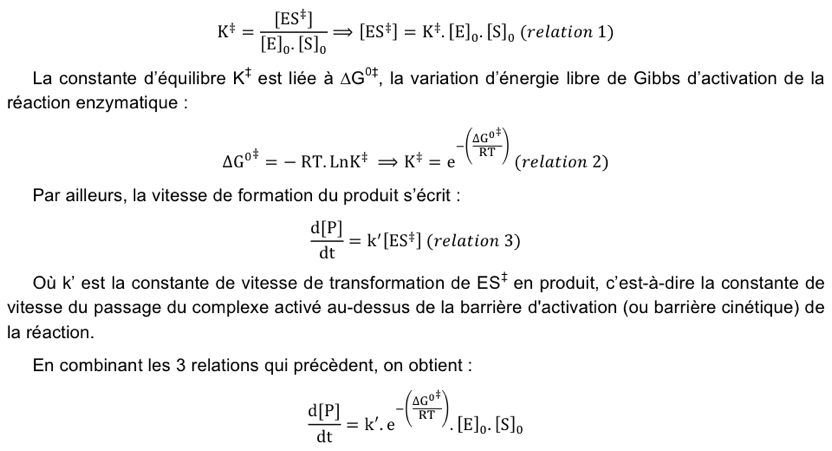 Enzyme equation kinetics cinetique activite enzymatique rate constant catalytic vitesse reaction Vmax KM active site actif stationary equilibrium temperature etat transition state entropie enthalpie enthalpy entropy biochimej