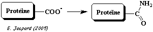 biochimej Reaction amidation