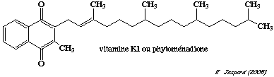 carboxylation vitamine K acide glutamique glutamyl carboxylase warfarine
