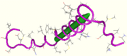 biochimej oligosaccharyl transferase