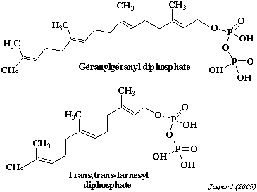 geranylgeranyl geranyl farnesyl glypiation biochimej