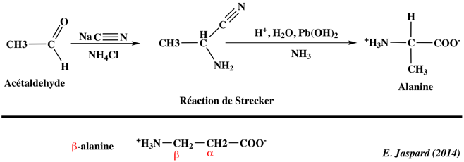 alanine acide amine amino acid chemical reactivity biochimej