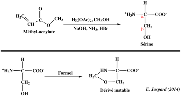 serine purine pyrimidine acide amine amino acid chemical reactivity biochimej