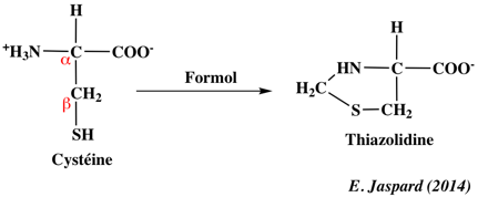 cysteine thiazolidine acide amine amino acid chemical reactivity biochimej
