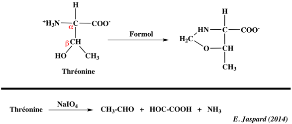 threonine acide amine amino acid chemical reactivity biochimej
