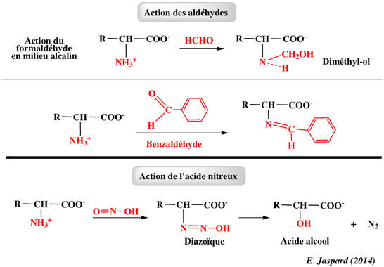 acide amine amino acid chemical reactivity aldehyde biochimej