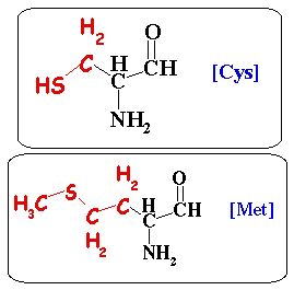 Structure cysteine methionine biochimej