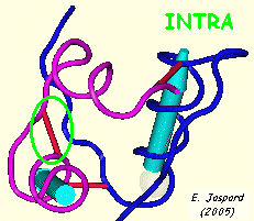 Pont intra chaine insulin biochimej
