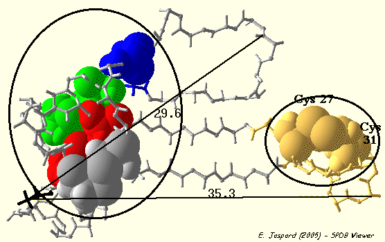 bungarotoxin Pont disulfure disulphide bridge bond prediction cysteine intra inter biochimej
