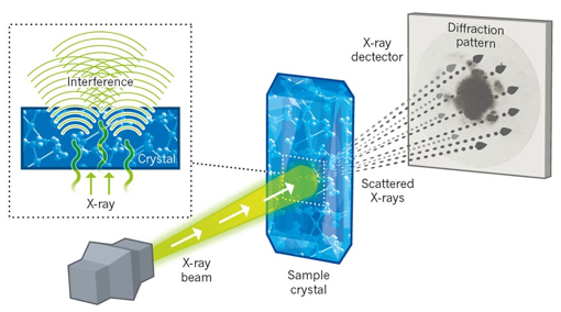 biochimej diffraction rayon X ray