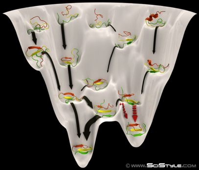 repliement protein folding funnel shaped energy landscape minimisation biochimej