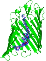 biochimej Structure du complexe porin OmpF ColE9 pore porine porin aquaporin water