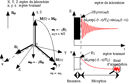 spectrometre RMN Resonance magnetique nucleaire spin magnetic moment electron energie energy  structure biophysique biochimej