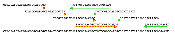 Assemblage contig scaffold ADN DNA sequencing method biochimej