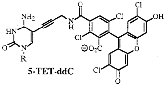 5-TET-ddCTP sequencing method didesoxyribonucleotide ddNTP biochimej