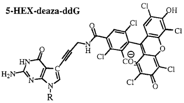 5-HEX-deaza-ddGTTP sequencing method didesoxyribonucleotide ddNTP biochimej