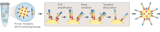 sequencage next-generation high-throughput DNA sequencing technologies emulsion 454 biochimej