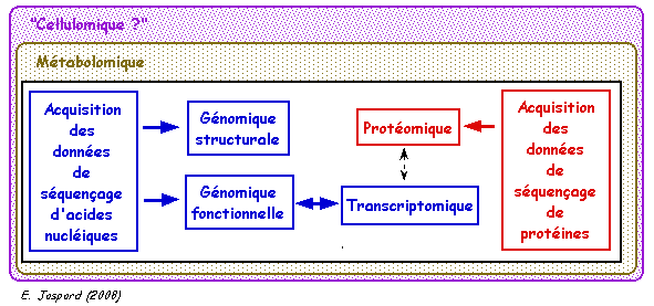 biochimej Presentation generale Genomique