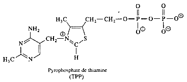 Structure de la pyrophosphate de thiamine