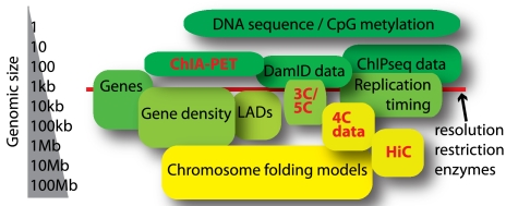 ChIA-PET DNA ADN chromosome genome sequencing sequencage