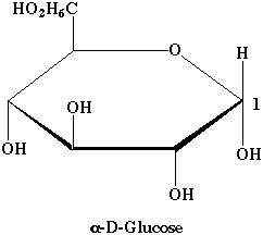 biochimej Representation cyclique Haworth glucose