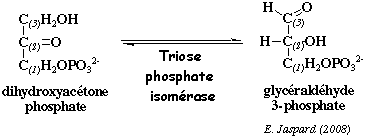 biochimej reaction catalysee par la triose phosphate isomerase