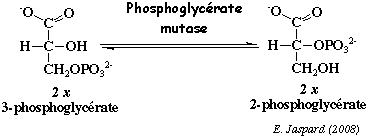 biochimej reaction catalysee par la phosphoglycerate mutase