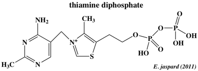 thiamine diphosphate stress biochimej
