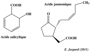 Acide salicylique jasmonique stress biochimej