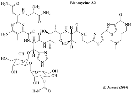 biochimej Metabolisme secondaire secondary metabolism metabolite PKS NRPS fungal fungi cholesterol steroid polycetide polyketide bleomycin actinomycin cyclosporin