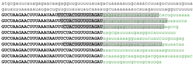 CRISPR Cas crispr-Cas9 clustered regularly interspaced short palindromic repeats array gene editing Cas9 associated protein spacer palindrome immune immunity regroupement courte repetition palindromique regulierement espace pre-crRNA crRNA tracrRNA biochimej