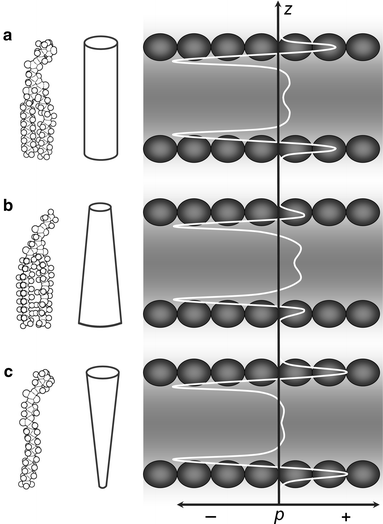 membrane lipide pression laterale pressure protein intramembranaire biochimej