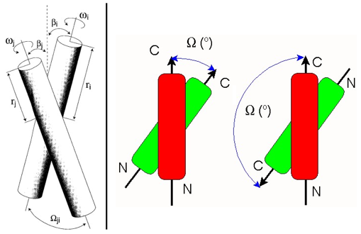 crossing angle helice helix folding repliement protein intramembranaire dimer biochimej