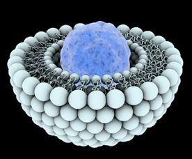 Structure membrane protein ose lipide lipid liposome biochimej
